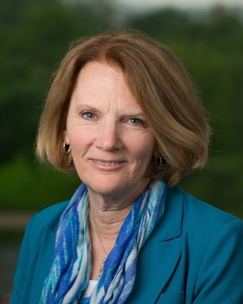 Janet Buckley, Vice President at Van Scoyoc Associates